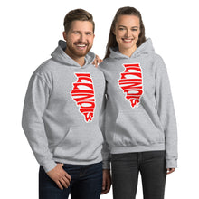 Load image into Gallery viewer, State Illinois Unisex Hoodie